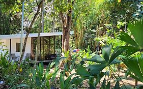 Luba House
